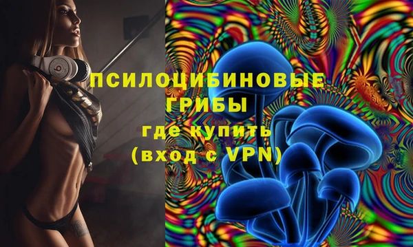 твердый Бронницы