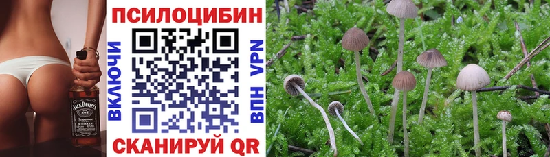 Галлюциногенные грибы Psilocybine cubensis  купить закладку  Зеленокумск 